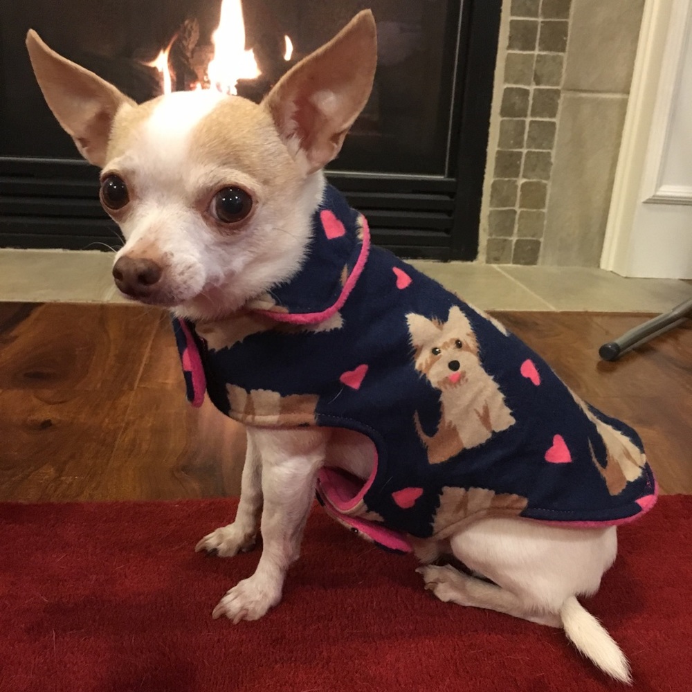Handmade dog jacket 💕 dog sweater
